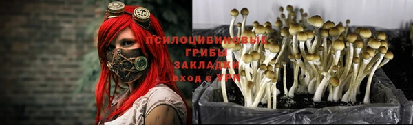 МДПВ Абинск