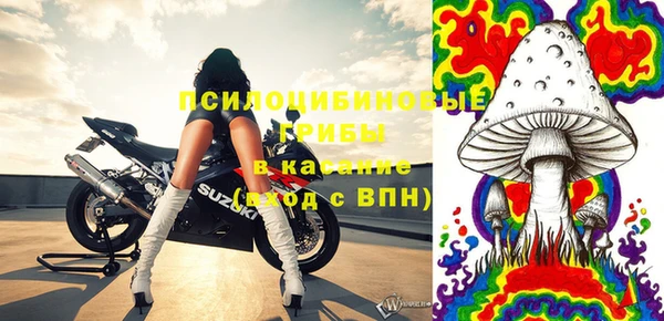 гидропоника Алзамай
