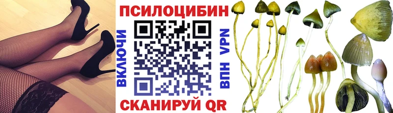 Галлюциногенные грибы GOLDEN TEACHER гидра маркетплейс Энем